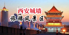 免费看胖女人操片逼AB中国陕西-西安城墙旅游风景区